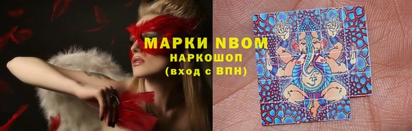 марки nbome Богданович